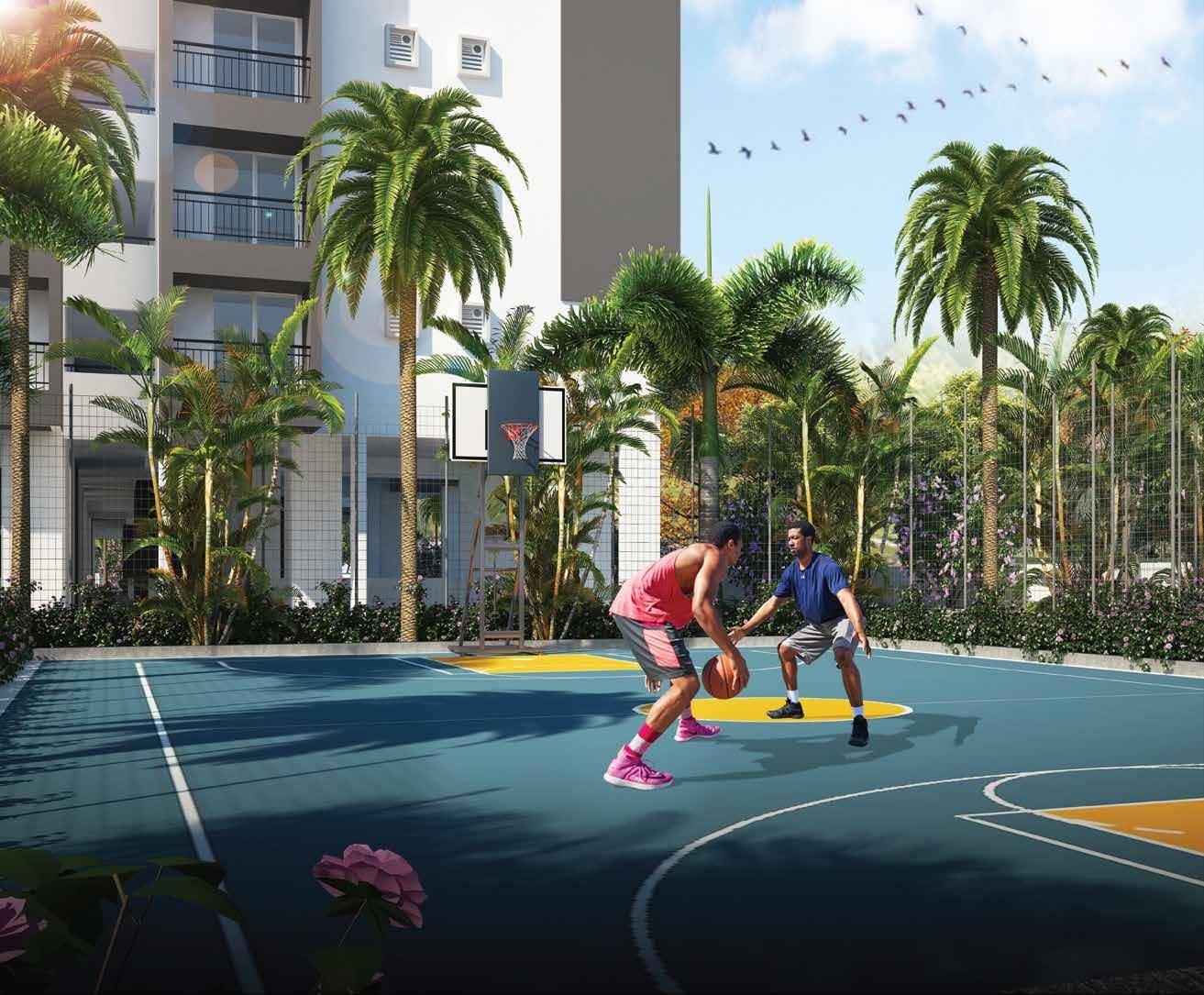 Basketball court